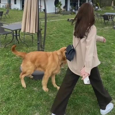 陷阱里的婚姻