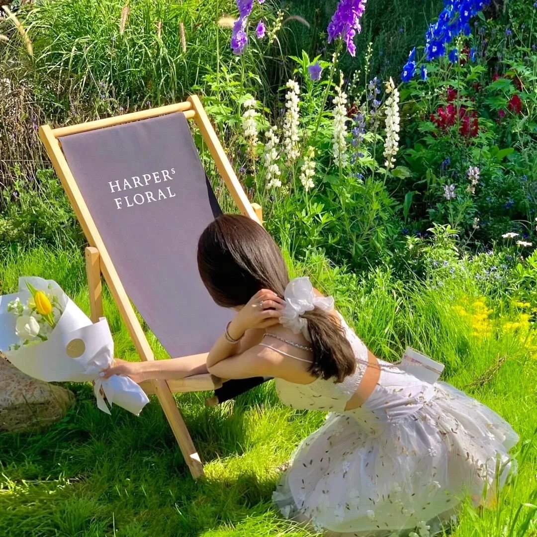 曾几何时天魔的黑兔